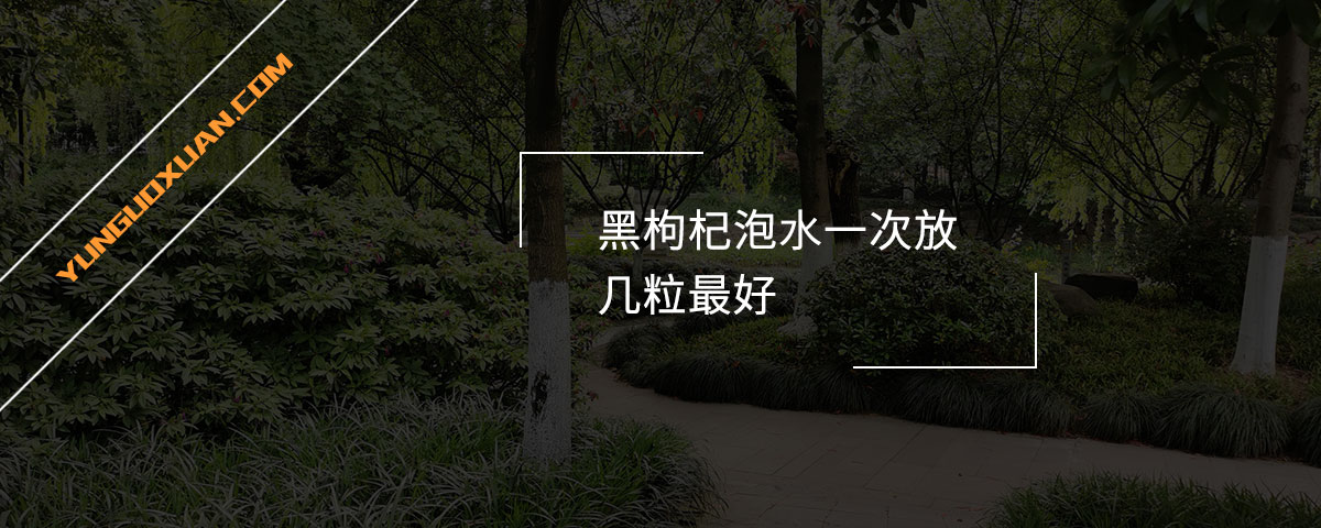 黑枸杞泡水一次放幾粒最好？