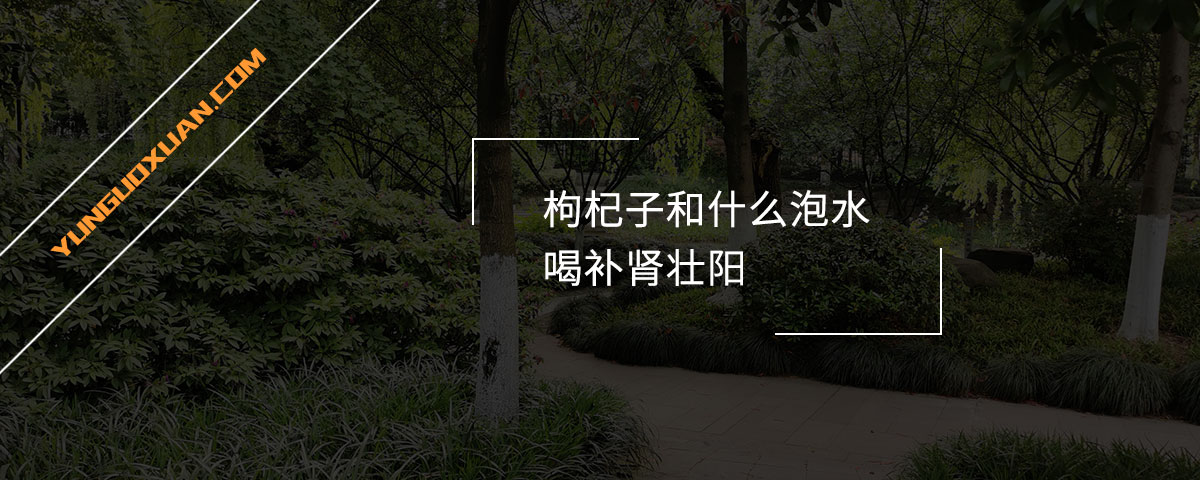 枸杞子和什么泡水喝補(bǔ)腎壯陽(yáng)？