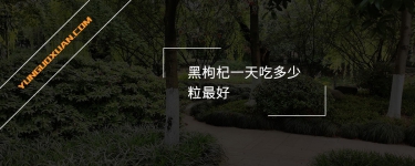 黑枸杞一天吃多少粒最好？