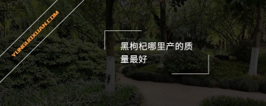 黑枸杞哪里產(chǎn)的質(zhì)量最好？