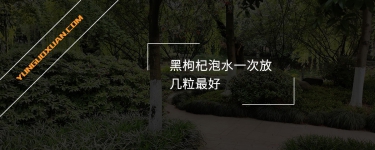 黑枸杞泡水一次放幾粒最好？