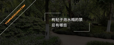 枸杞子泡水喝的禁忌有哪些？