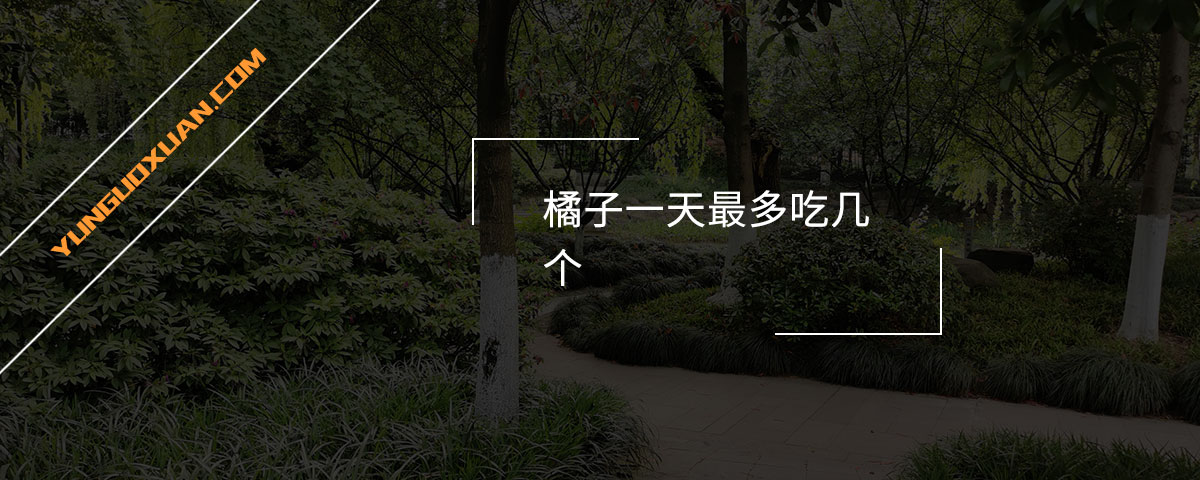 橘子一天最多吃幾個？