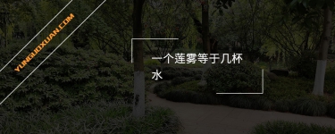 一個蓮霧等于幾杯水？