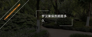 羅漢果保質(zhì)期是多久？