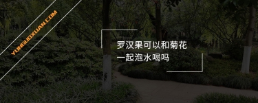 羅漢果可以和菊花一起泡水喝嗎？
