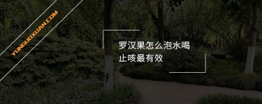 羅漢果怎么泡水喝止咳最有效？