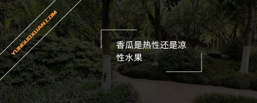 香瓜是熱性還是涼性水果?