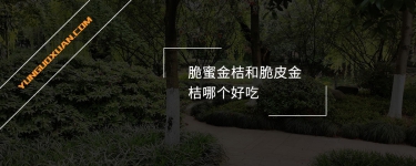 脆蜜金桔和脆皮金桔哪個(gè)好吃？
