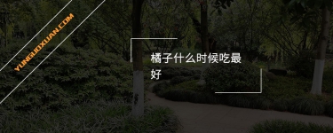橘子什么時(shí)候吃最好？