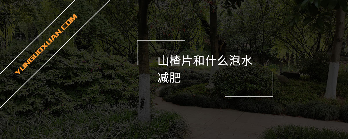 山楂片和什么泡水減肥？