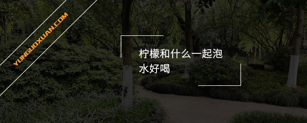 檸檬和什么一起泡水好喝？