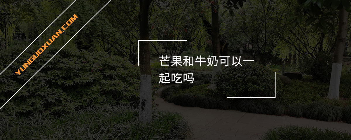 芒果和牛奶可以一起吃嗎？