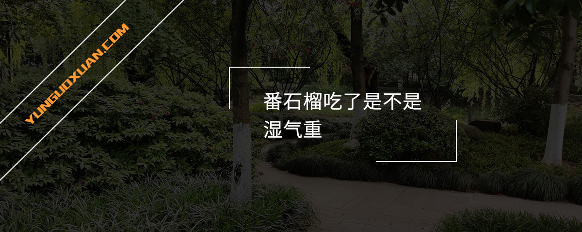 番石榴吃了是不是濕氣重？