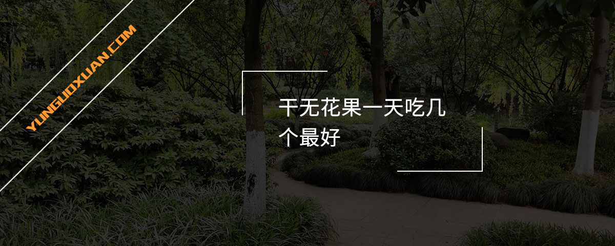 干無(wú)花果一天吃幾個(gè)最好？