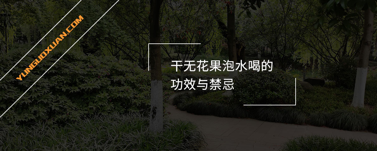 干無花果泡水喝的功效與禁忌