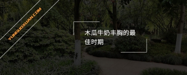 木瓜牛奶豐胸的最佳時期