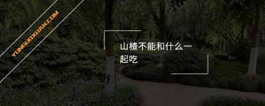 山楂不能和什么一起吃？