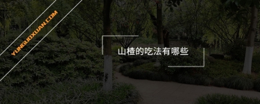 山楂的吃法有哪些？