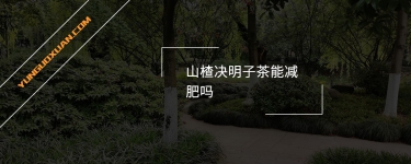 山楂決明子茶能減肥嗎？