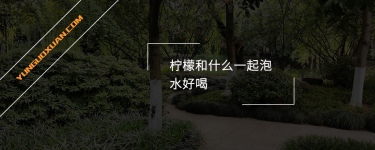 檸檬和什么一起泡水好喝？