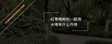紅棗和枸杞一起泡水喝有什么作用？