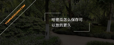 哈密瓜怎么保存可以放的更久？