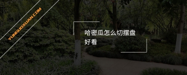哈密瓜怎么切擺盤好看？