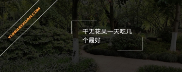 干無花果一天吃幾個最好？