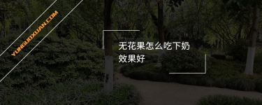 無花果怎么吃下奶效果好？