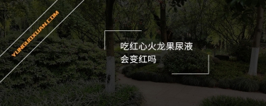 吃紅心火龍果尿液會變紅嗎？