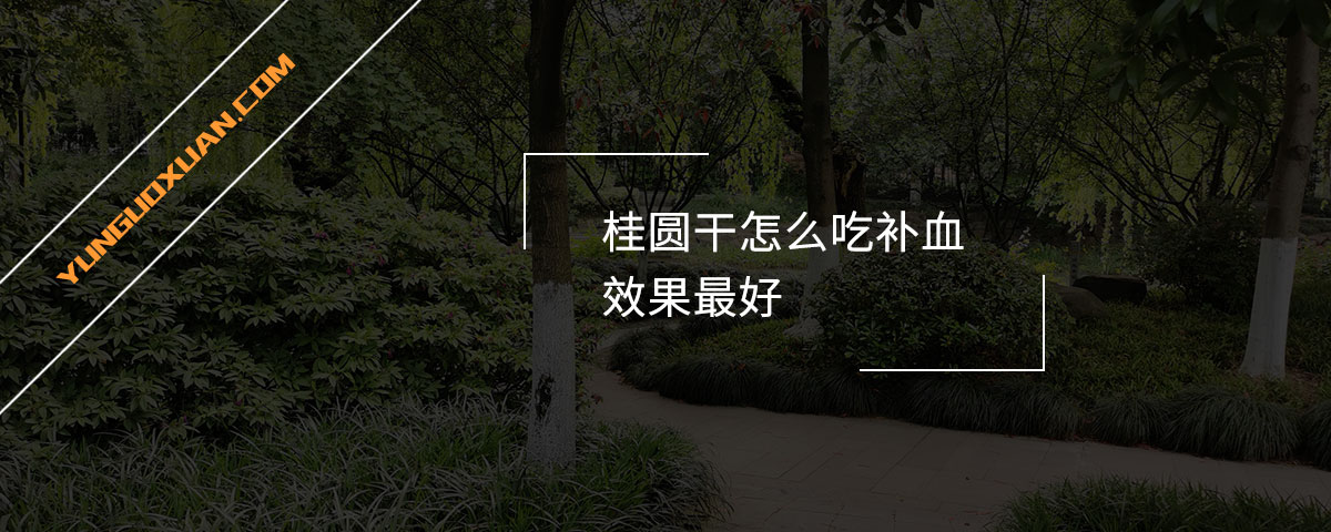 桂圓干怎么吃補(bǔ)血效果最好？