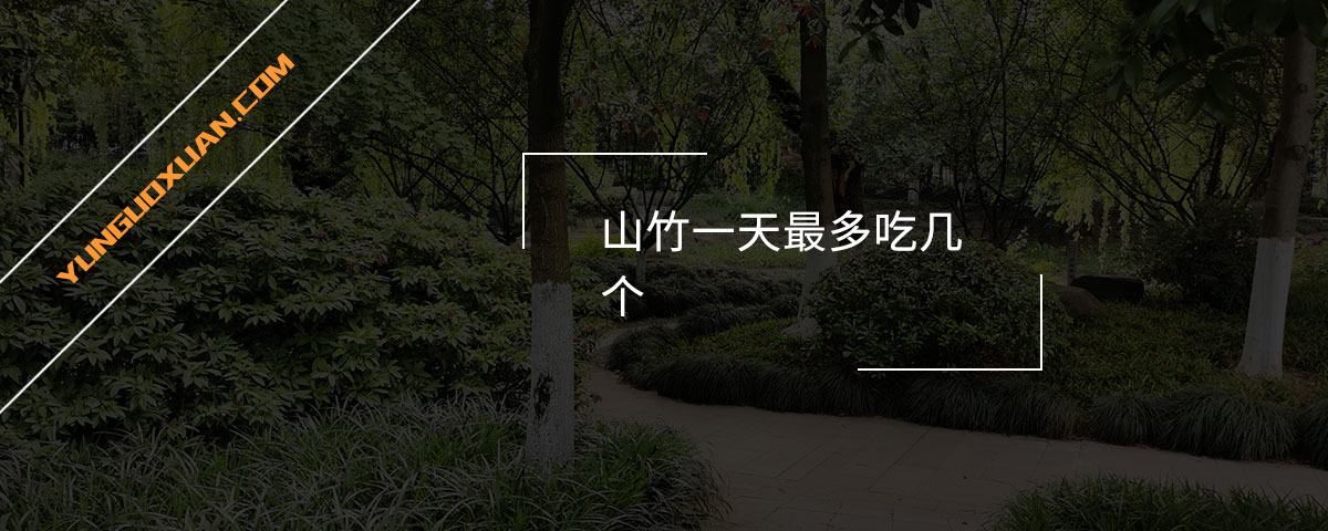 山竹一天最多吃幾個？