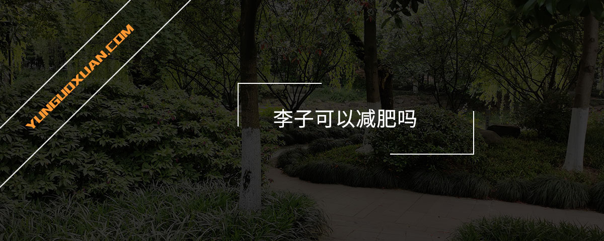 李子可以減肥嗎？