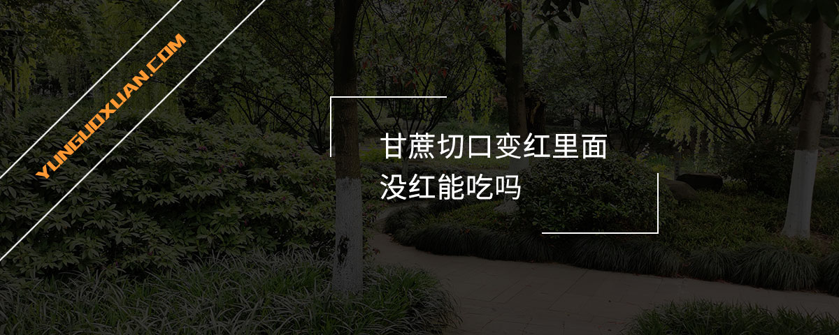 甘蔗切口變紅里邊沒(méi)紅能吃嗎？
