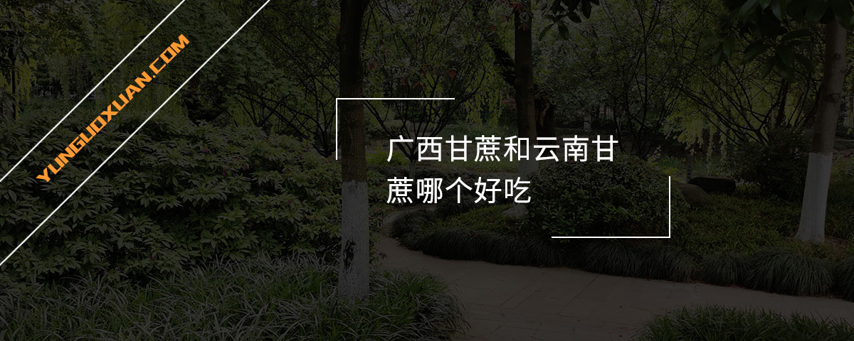 廣西甘蔗和云南甘蔗哪個好吃？
