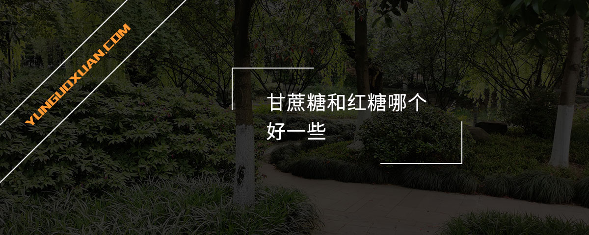 甘蔗糖和紅糖哪個好一些？