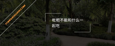 枇杷不能和什么一起吃？