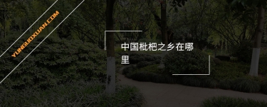 中國枇杷之鄉(xiāng)在哪里？