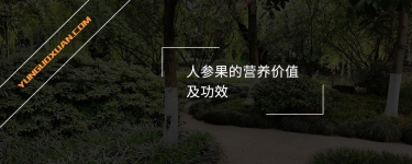 人參果的營養(yǎng)價值及功效