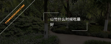 山竹什么時(shí)候吃最好？