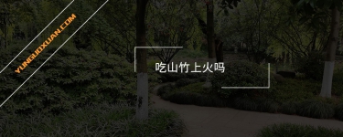 吃山竹上火嗎？