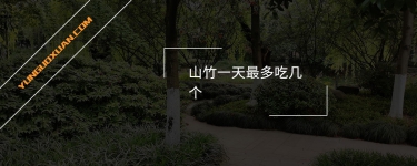 山竹一天最多吃幾個(gè)？