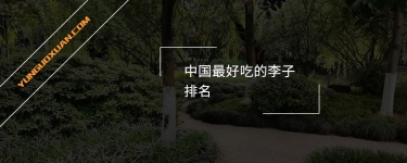 中國(guó)最好吃的李子排名