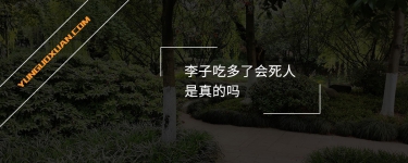 李子吃多了會死人是真的嗎？