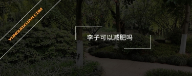 李子可以減肥嗎？