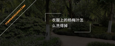 衣服上的楊梅汁怎么洗得掉？
