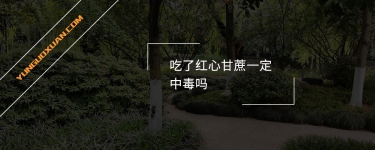 吃了紅心甘蔗一定中毒嗎？
