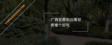 廣西甘蔗和云南甘蔗哪個(gè)好吃？