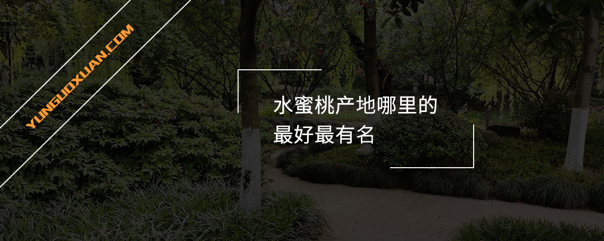 水蜜桃產(chǎn)地哪里的最好最有名？